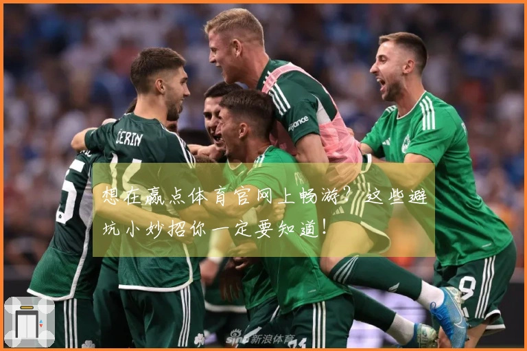 想在赢点体育官网上畅游？这些避坑小妙招你一定要知道！