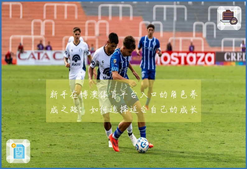 新手在博澳体育平台入口的角色养成之路：如何选择适合自己的成长方向