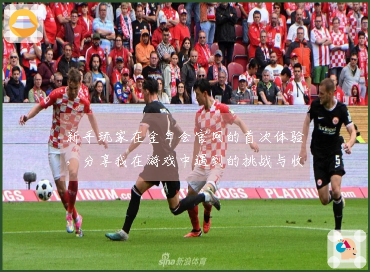 新手玩家在金年会官网的首次体验，分享我在游戏中遇到的挑战与收获