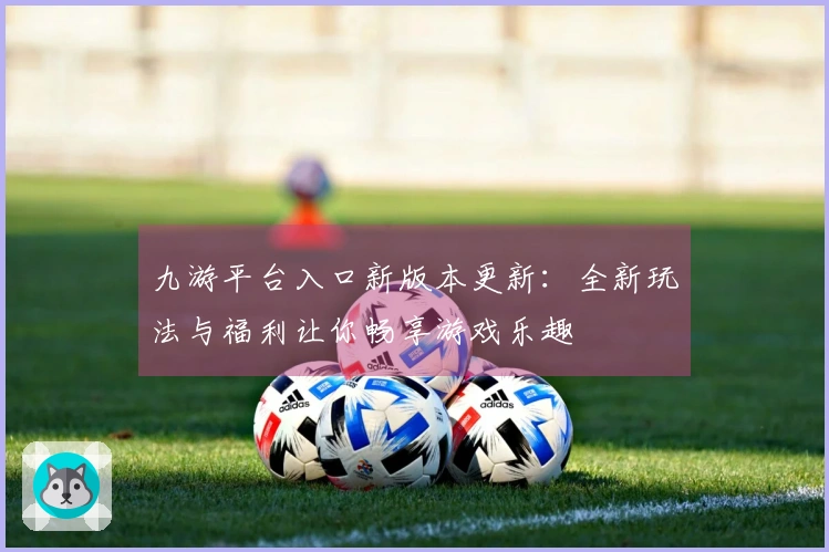 九游平台入口新版本更新：全新玩法与福利让你畅享游戏乐趣